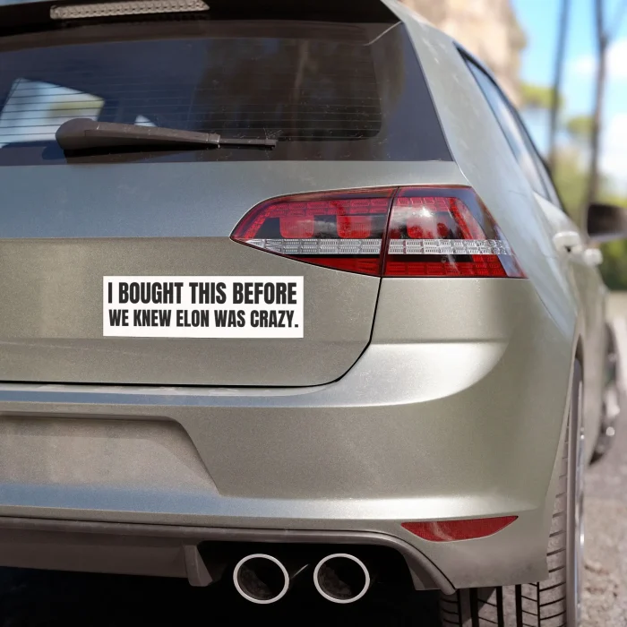 I Bought This Before We Knew Elon Was Crazy Sticker