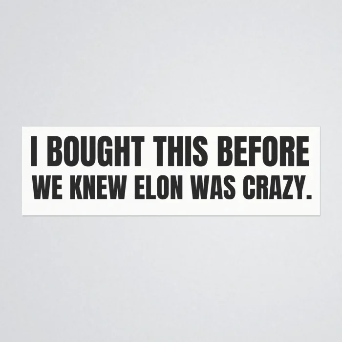 I Bought This Before We Knew Elon Was Crazy Sticker