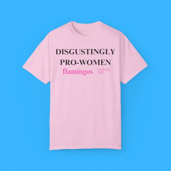 Disgustingly Pro Women Flamingos Shirt