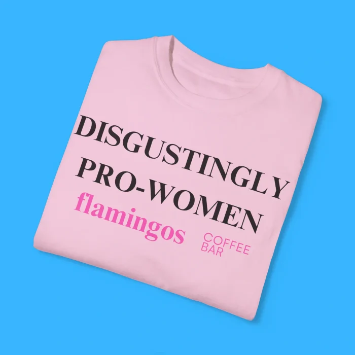 Disgustingly Pro Women Flamingos Shirts