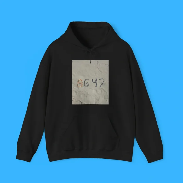 86 47 Hoodie