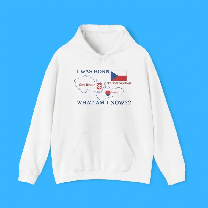 I Was Born What Am I Now Hoodie