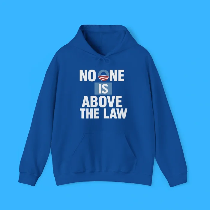 No One Is Above the Law Softstyle Hoodie