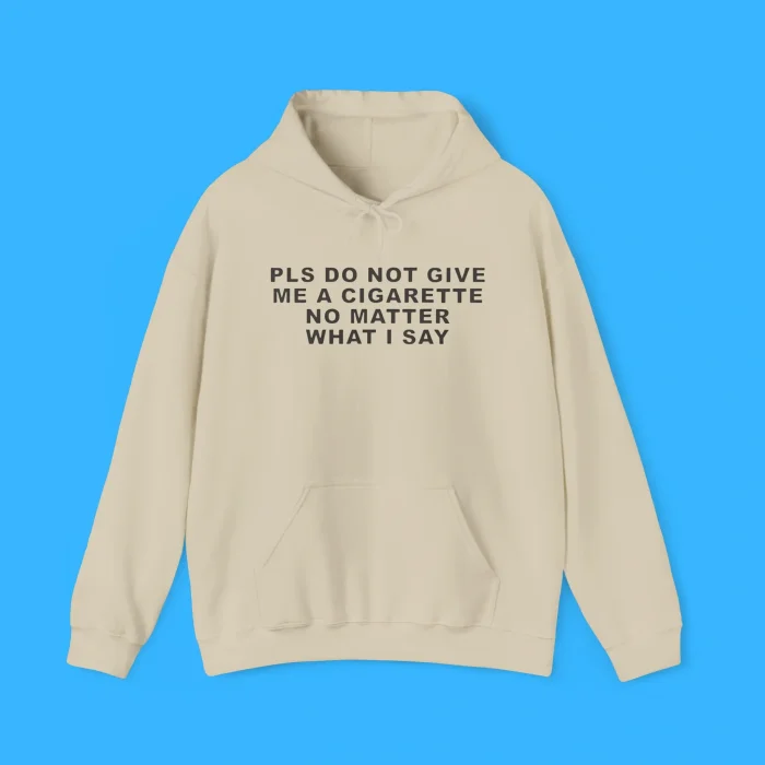 Pls Do Not Give Me A Cigarette No Matter What I Say Hoodie