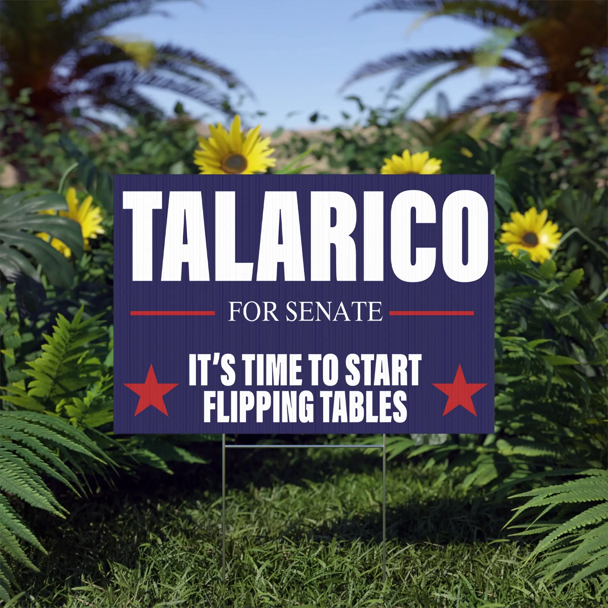 Talarico for Senate Yard Sign Context 1
